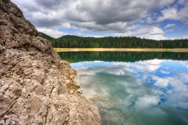 Lago del bosque — Foto de Stock