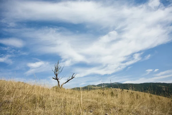 Vår i berg — Stockfoto