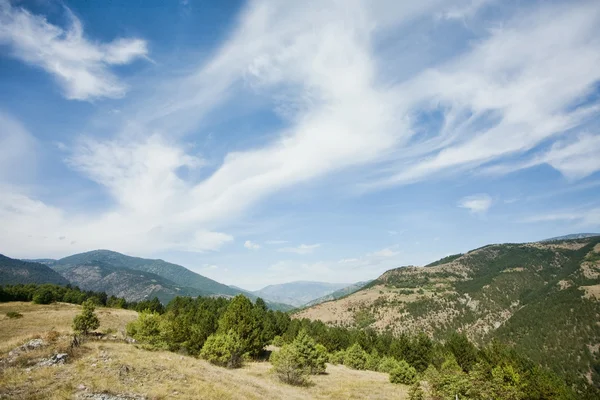 Primavera en la montaña —  Fotos de Stock