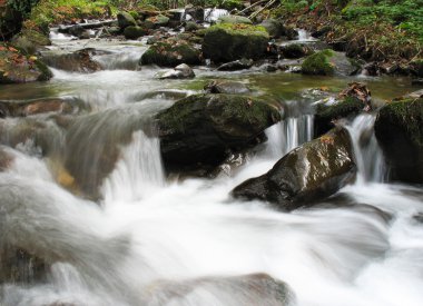 Harika bir manzara nehir
