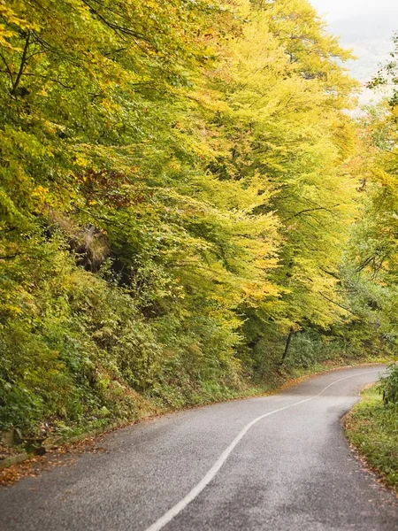 Mooie herfst — Stockfoto