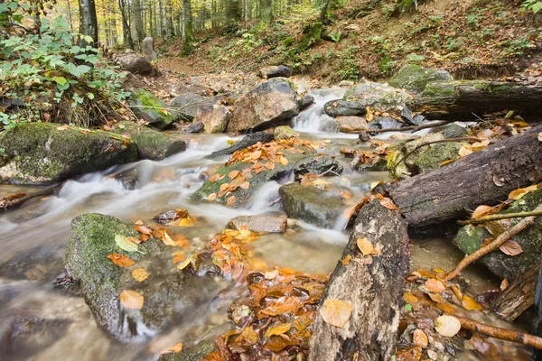 Stream in autunno — Foto Stock