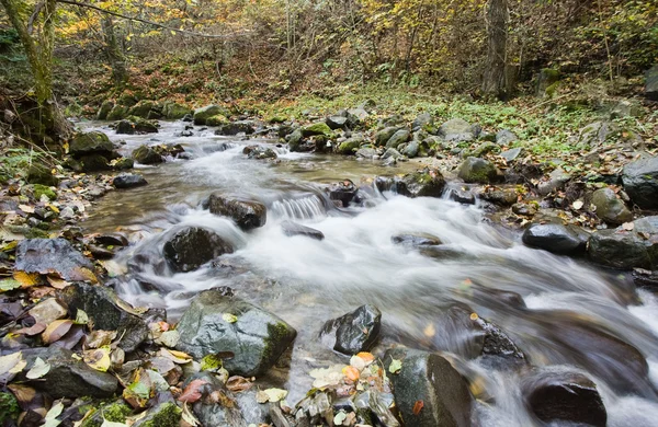 Beautiful cascade waterfall — Stock Photo, Image