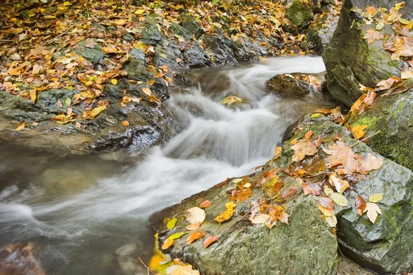 Piękne kaskady wodospadu — Zdjęcie stockowe