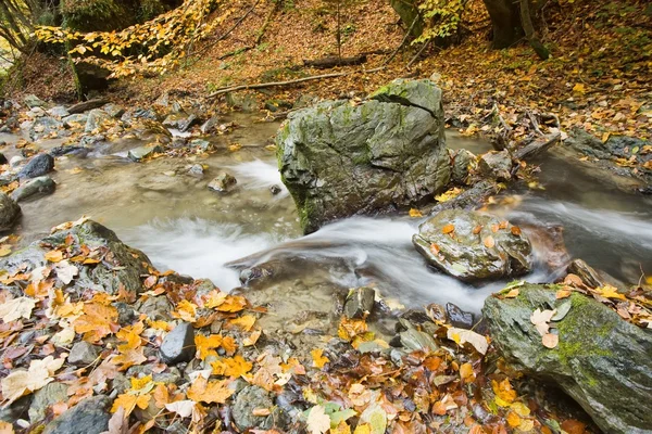 Stream in autumn — Stock Photo, Image