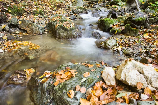 Stroom in het najaar — Stockfoto