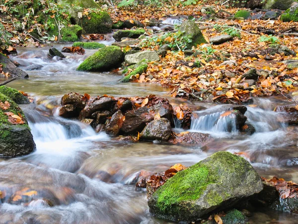 Stream im Herbst — Stockfoto