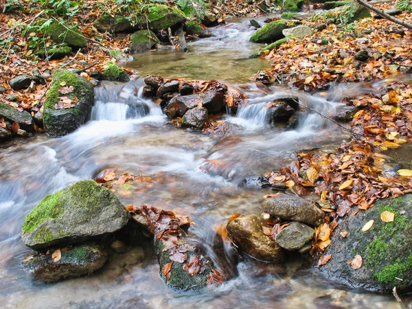 Stream en automne — Photo