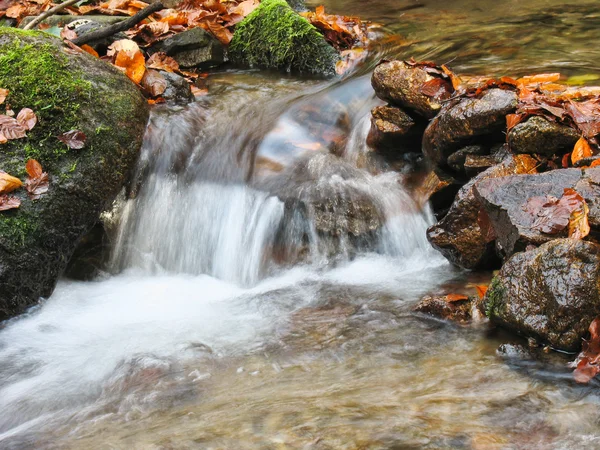 Stroom in het najaar — Stockfoto