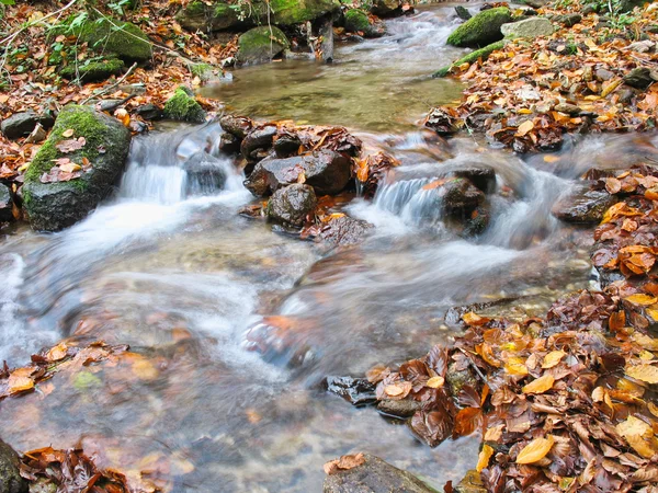 秋天的溪流 — 图库照片