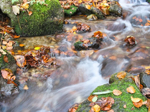 Stream in autumn — Stock Photo, Image