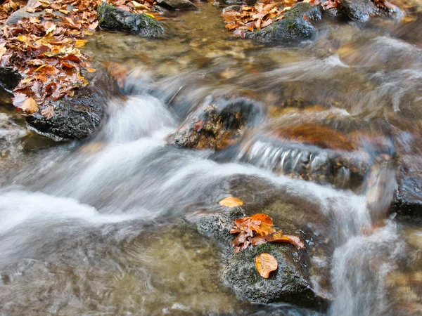 Stream in autunno — Foto Stock