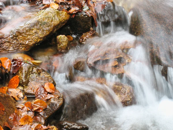 Corriente en otoño —  Fotos de Stock