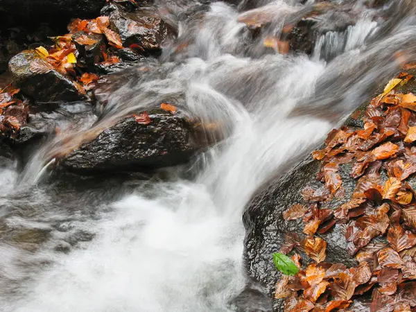 秋の流れ — ストック写真