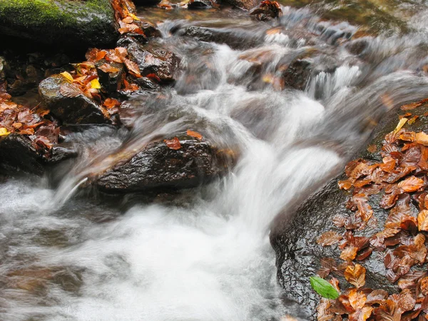 Stream im Herbst — Stockfoto