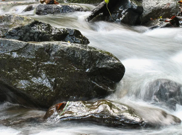 Schöner Blick auf den Fluss — Stockfoto