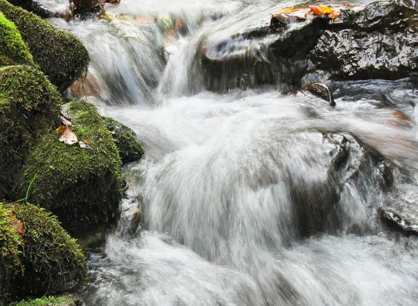 Gyönyörű kilátással a folyóra — Stock Fotó