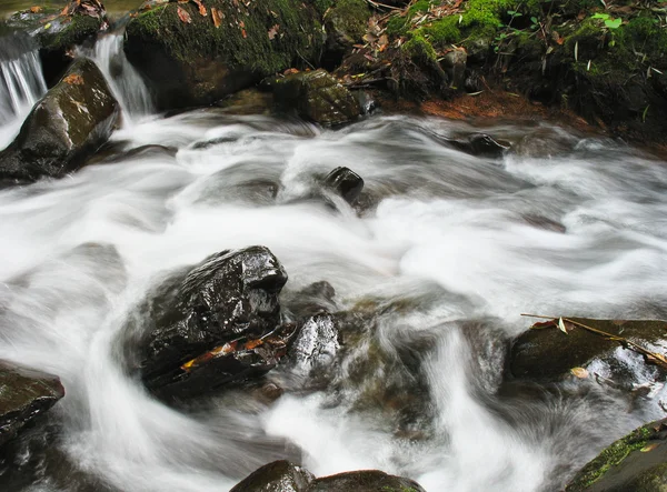 Belle vue sur la rivière — Photo