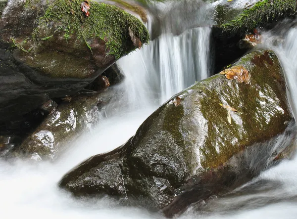 Nádherný pohled na řeku — Stock fotografie