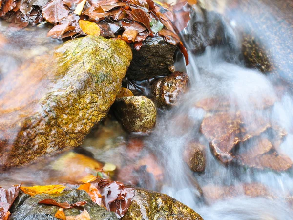 Stream in autumn Royalty Free Stock Images