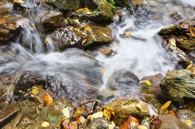 Şelale yosunlu kayaların üzerine düşüyor