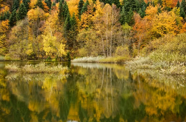 山の中の湖 — ストック写真