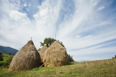 Samanlık bir vadi dağ