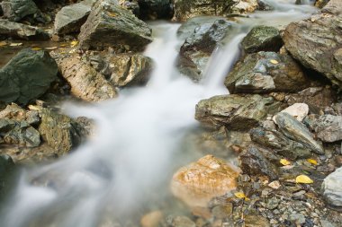 çakıl veya su akan dere veya dere taşları