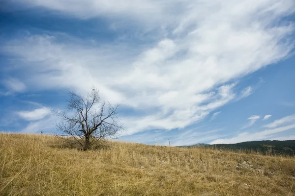 Údolí ve vysokohorských — Stock fotografie