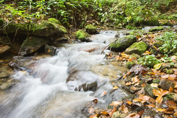 Cailloux ou roches dans un ruisseau ou un cours d'eau qui coule — Photo