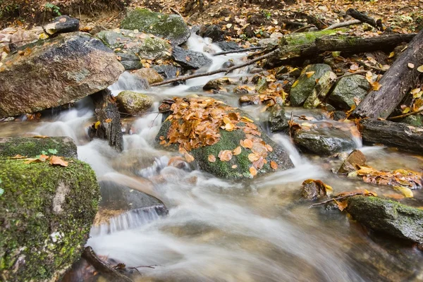 Guijarros o rocas en arroyo o arroyo que fluye agua —  Fotos de Stock