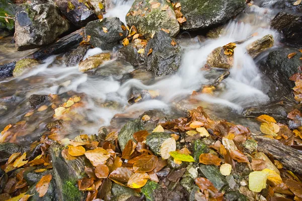 Галька или камни в ручье или ручье текучей воды — стоковое фото