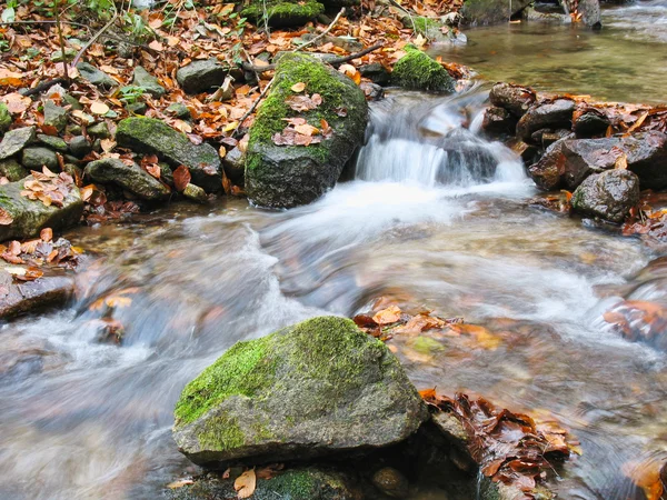 Guijarros o rocas en arroyo o arroyo que fluye agua — Foto de Stock