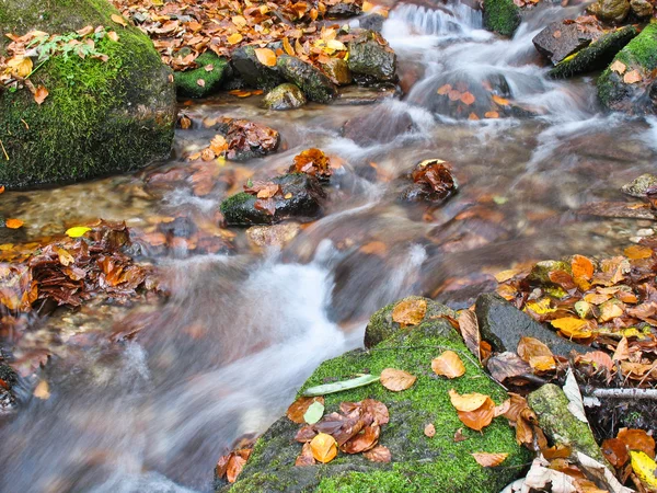 Guijarros o rocas en arroyo o arroyo que fluye agua — Foto de Stock