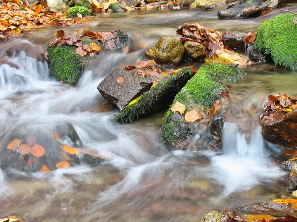 Kiezel of stenen in creek of stream stromend water — Stockfoto