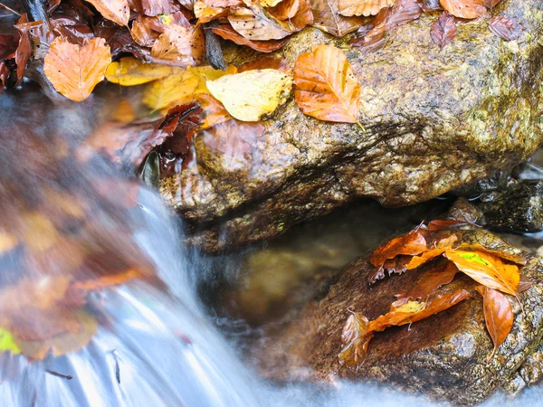 Kiezel of stenen in creek of stream stromend water — Stockfoto