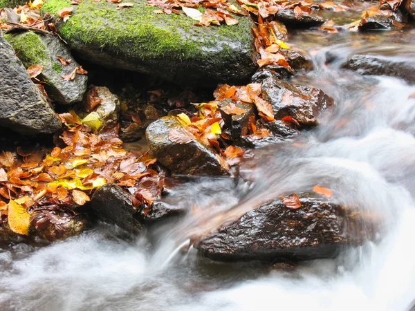 Cailloux ou roches dans un ruisseau ou un cours d'eau qui coule — Photo