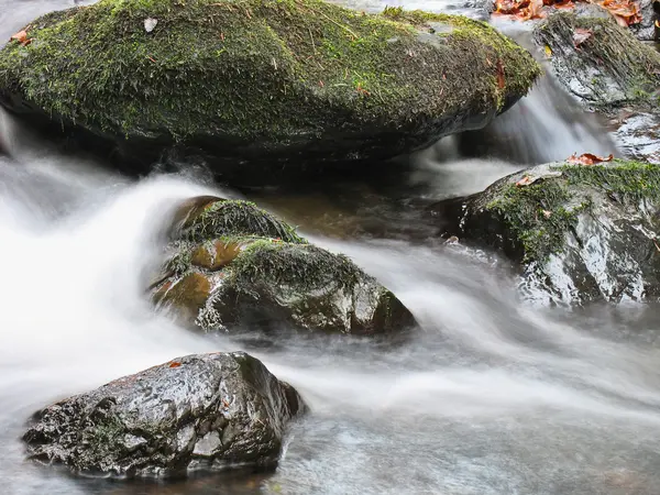 小卵石或岩石在克里克或流流动的水 — 图库照片
