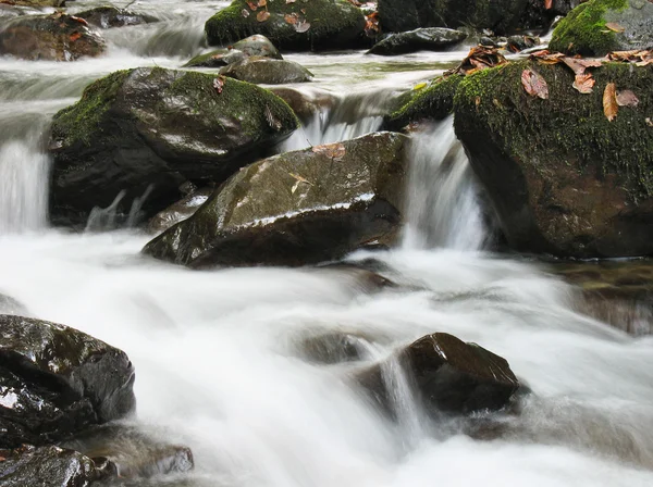 Guijarros o rocas en arroyo o arroyo que fluye agua — Foto de Stock