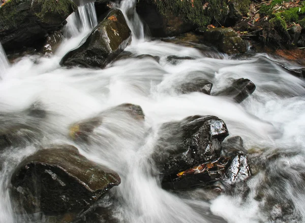 Kiezel of stenen in creek of stream stromend water — Stockfoto