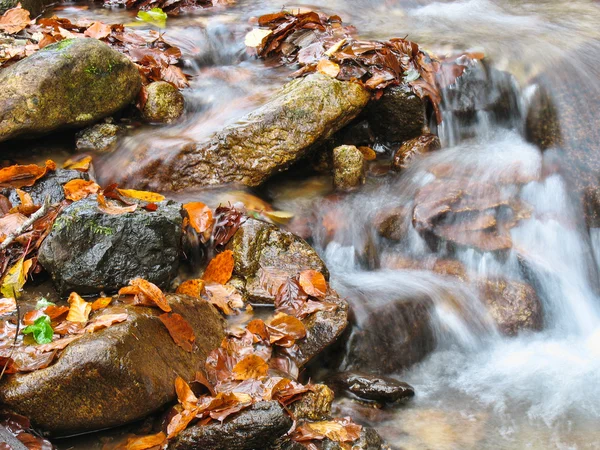 Pebbles or rocks in creek or stream flowing water Stock Photo