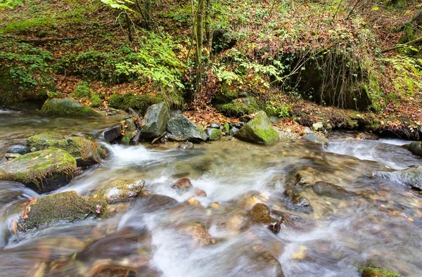 秋天的溪流 — 图库照片
