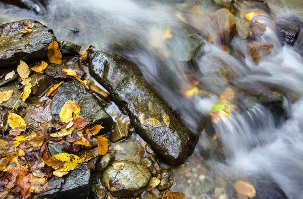 Stream in autumn Stock Image