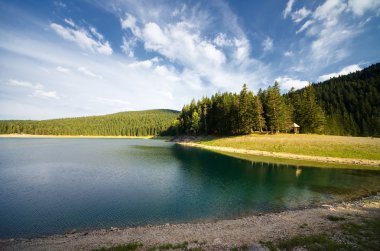 Yaz forest lake ayna yansıması ile