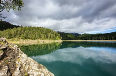 Yaz forest lake ayna yansıması ile