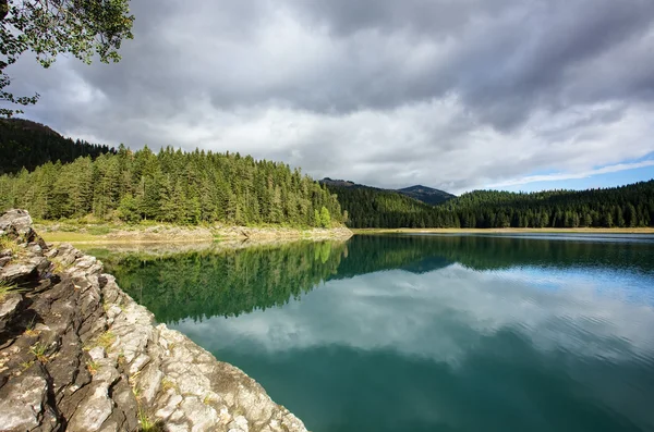 Lago del bosque de verano con reflejo espejo — Foto de Stock