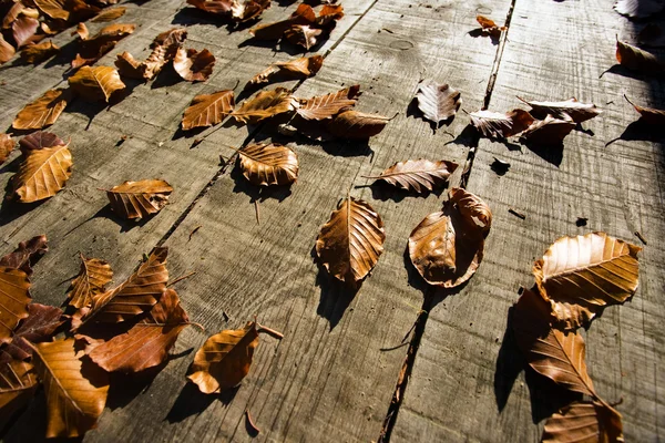 Autumn leaves on a wooden floor — Stock Photo, Image