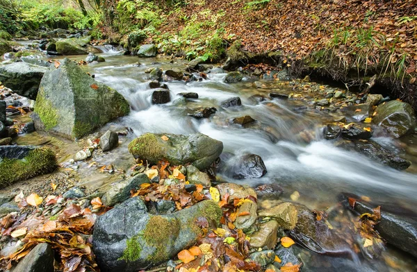 Strumień jesienią — Zdjęcie stockowe