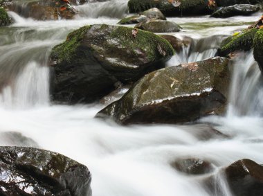 Sonbaharda Dere