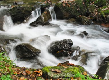 Sonbaharda Dere